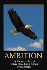 AMBITION — Be the eagle. Except you’re more like a pigeon with anxiety.