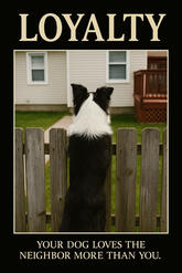 LOYALTY — Your dog loves the neighbor more than you